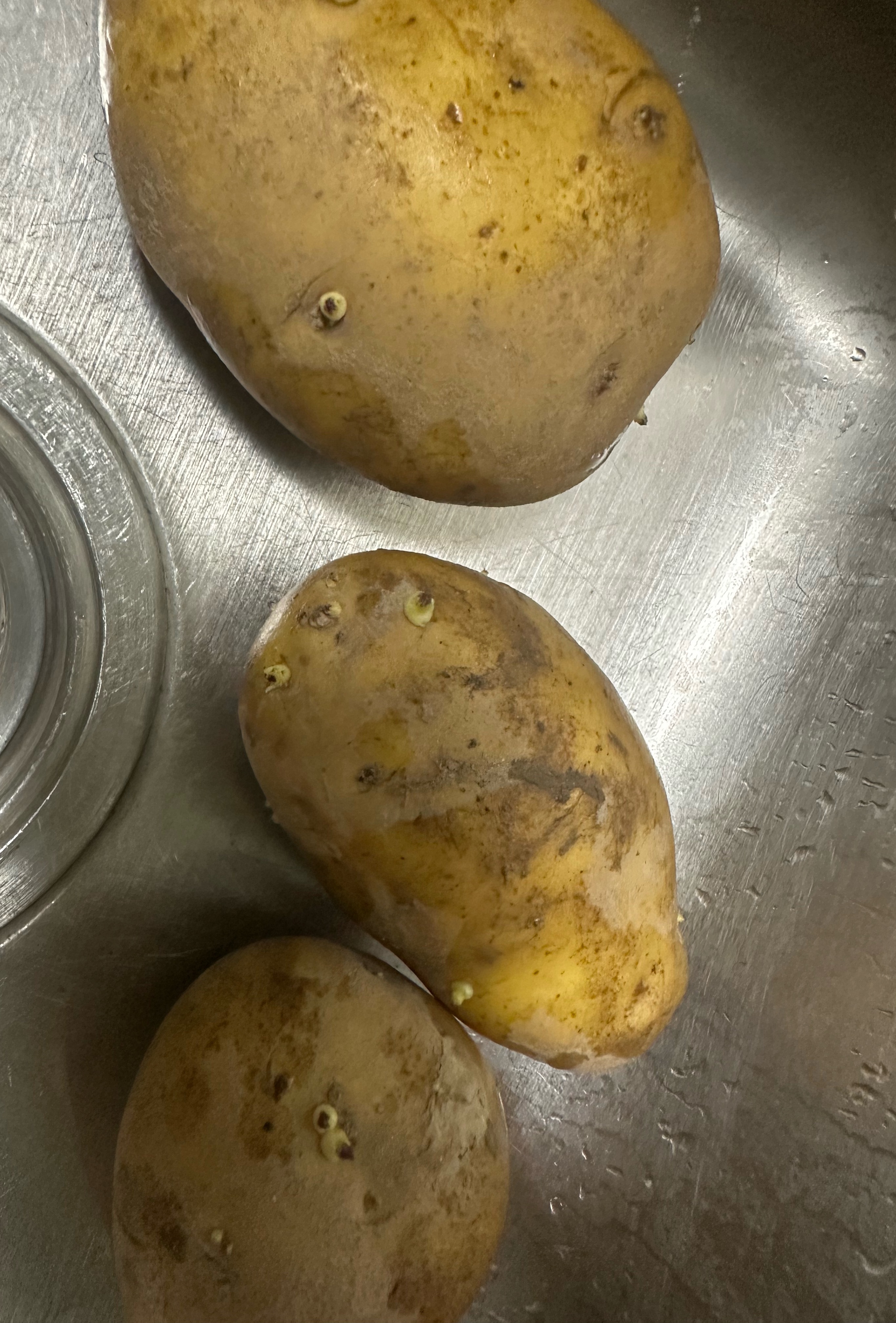 原来🥔也不能见光，见光就发黑，要不就发芽了，发了芽就不能食用了，有毒 