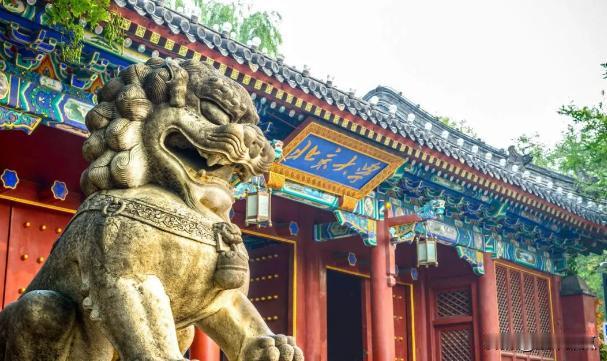 刚才看了个大凉山男青年，辍学买苹果给上北大哥哥读书的案例，这个案例其实呢，只要有