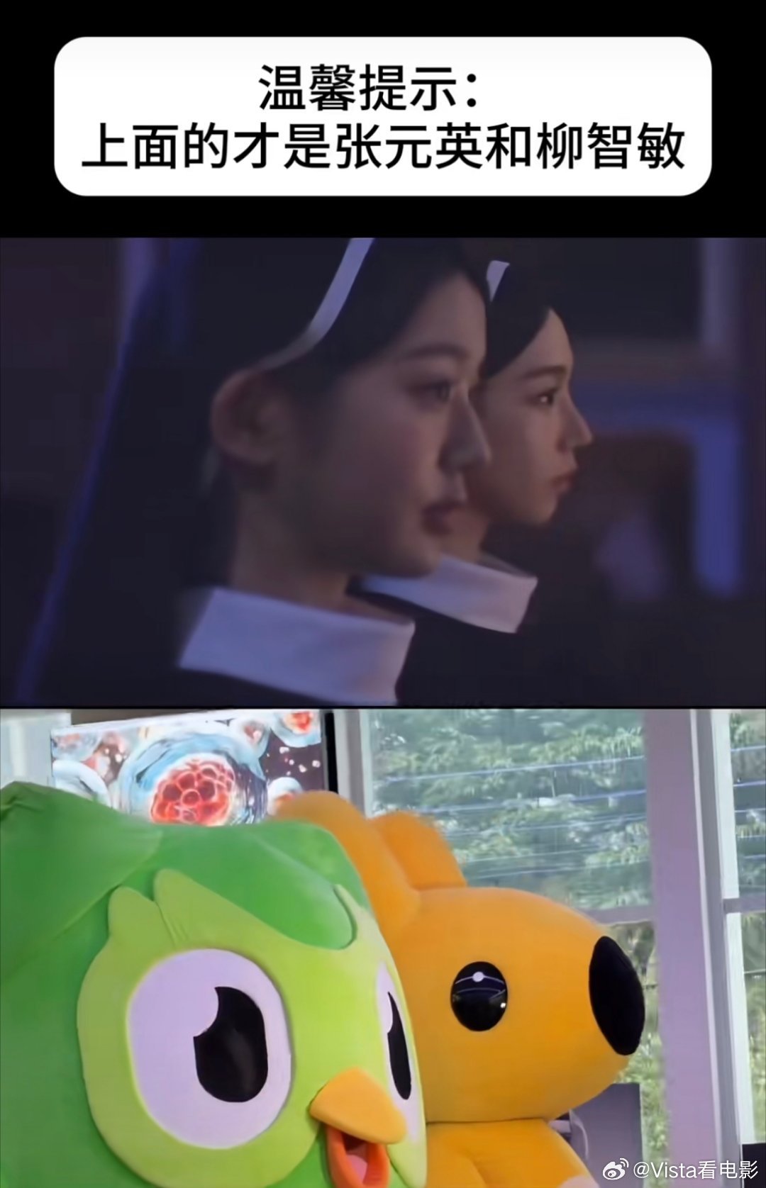 辛芷蕾手机没防窥膜哈哈哈哈 被发现在学多邻国辛芷蕾 多邻国一会那只绿色鸟又该过来