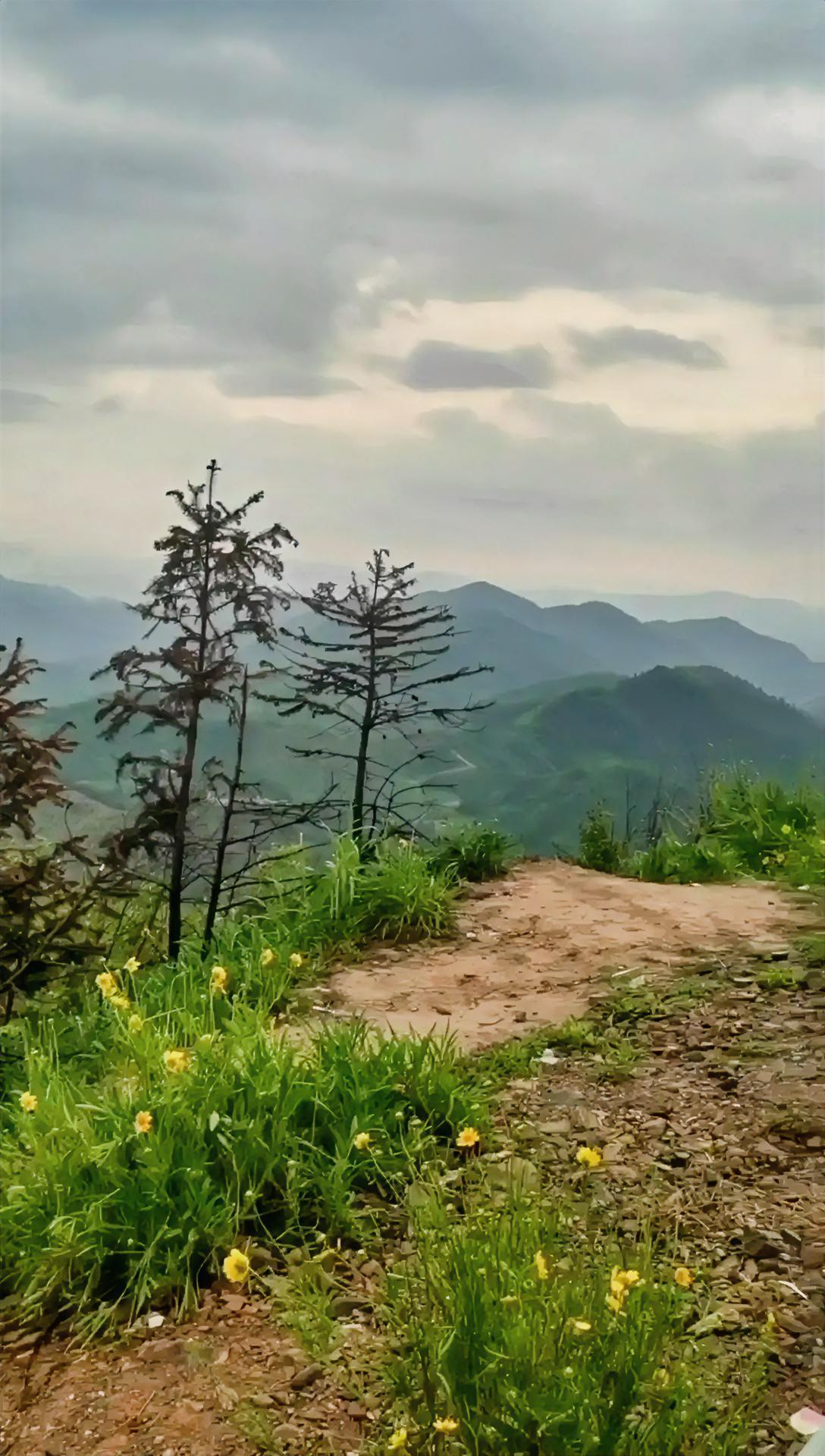 我的今日状态：😁轻松愉快
我这里的天气：☀️晴天

每次站在山顶，望着山下云雾