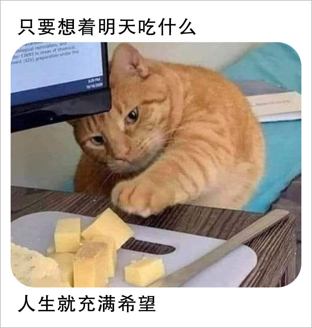 只要一想到明天要吃的 