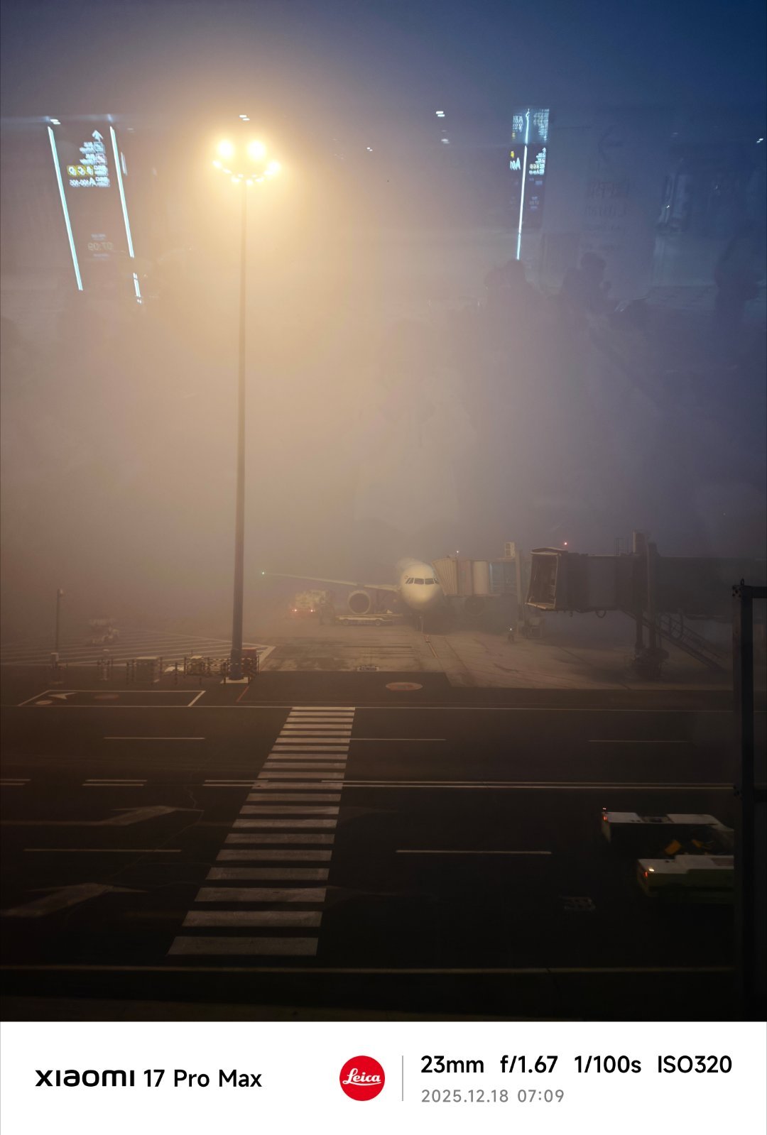 这么大的雾，还能按时起飞吗?我的日常plog付卷卷爱粟