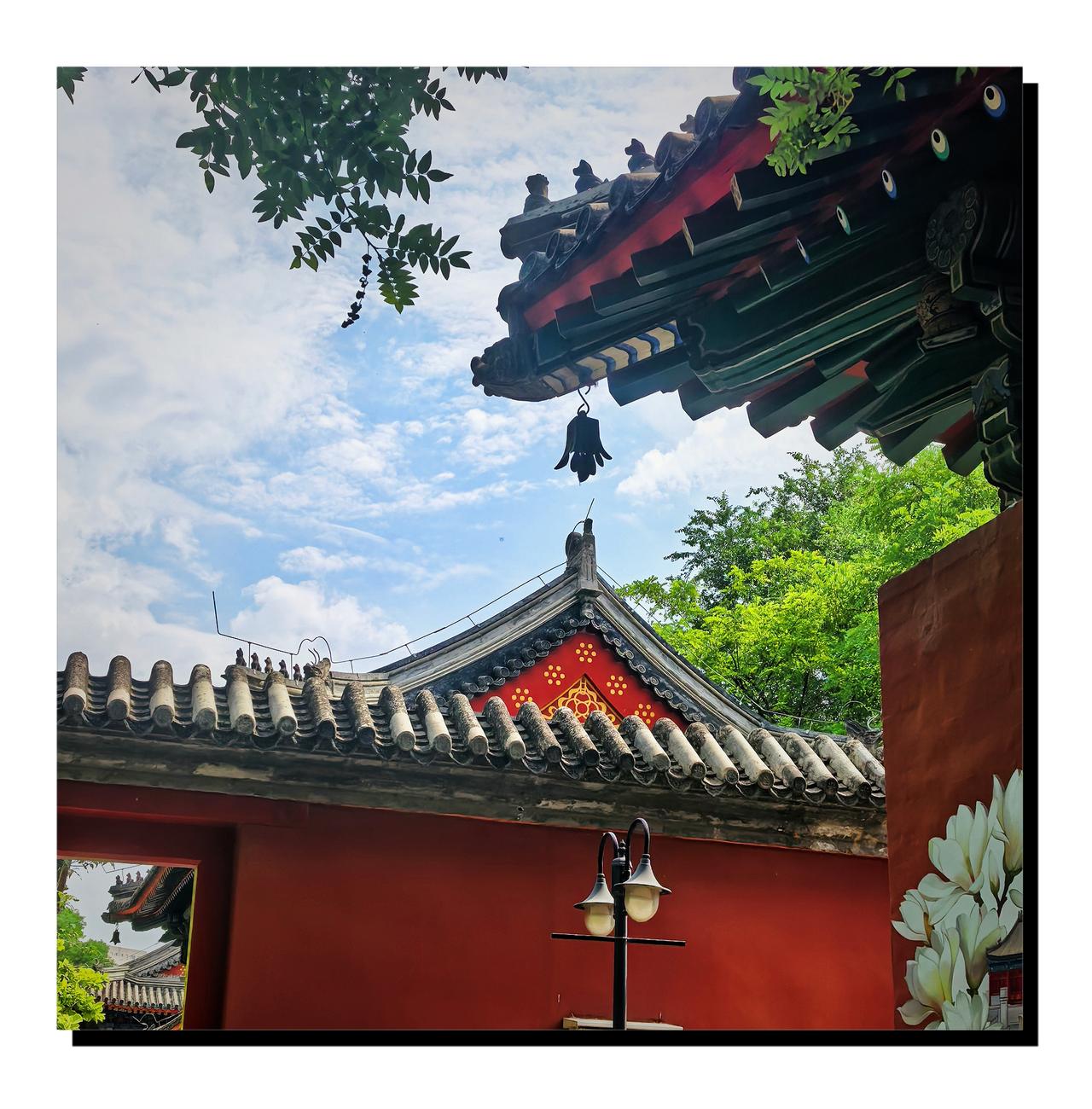 六月京西万寿寺