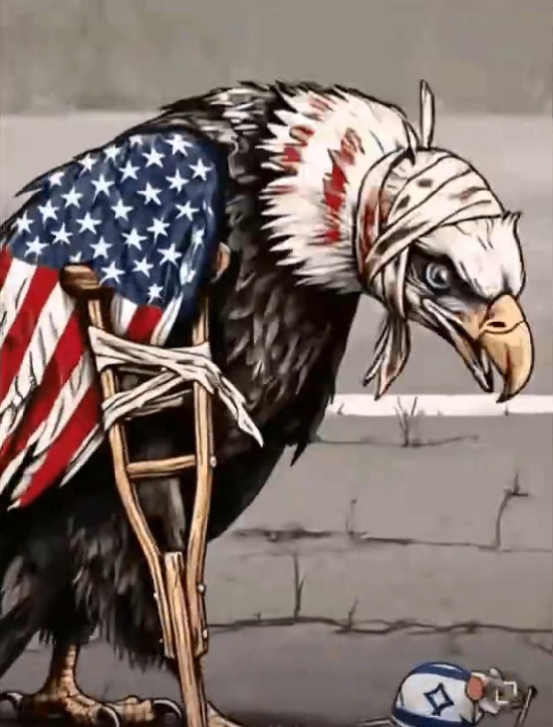 到底是谁让白头鹰如此受伤?