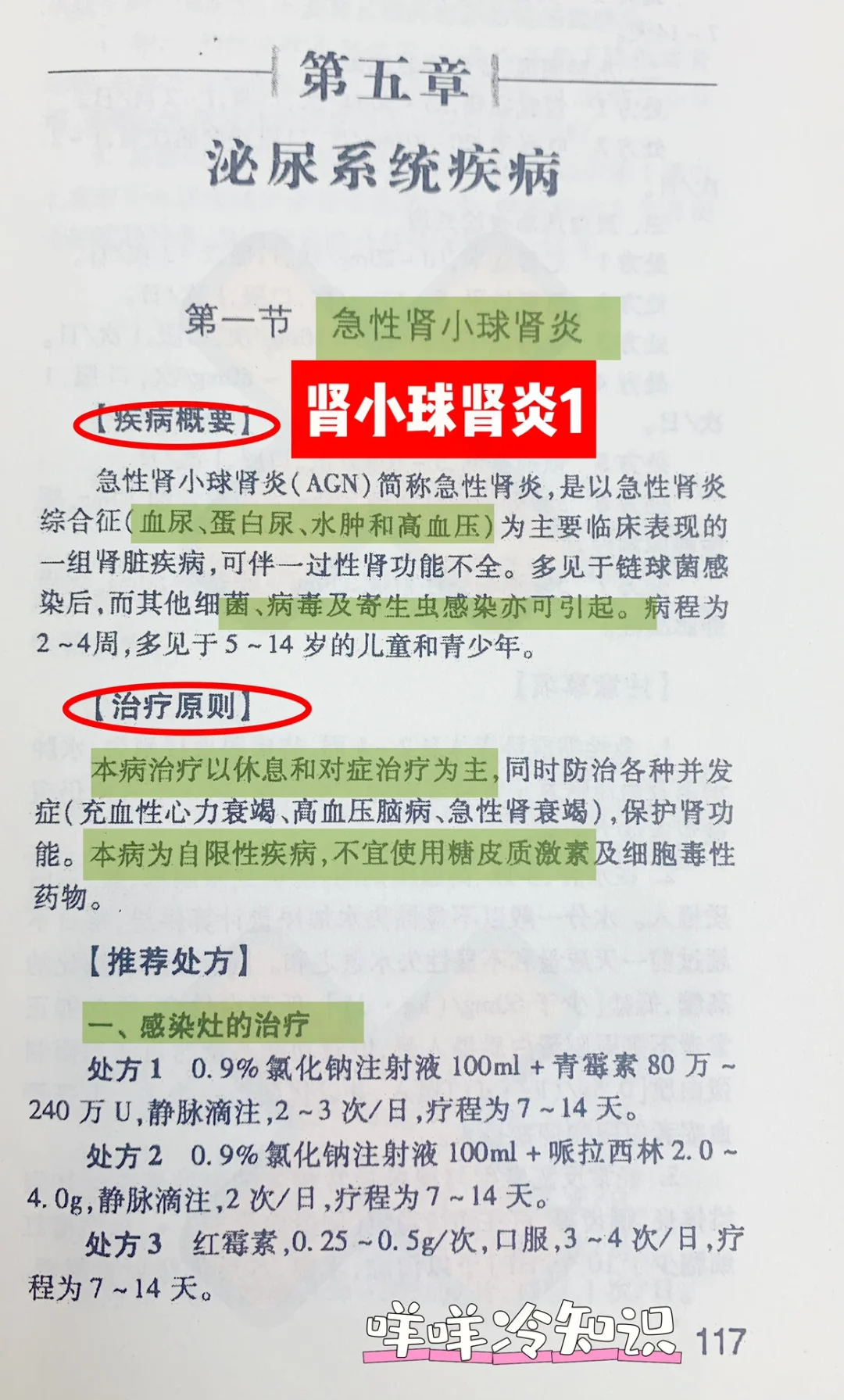 值班-肾小球肾炎