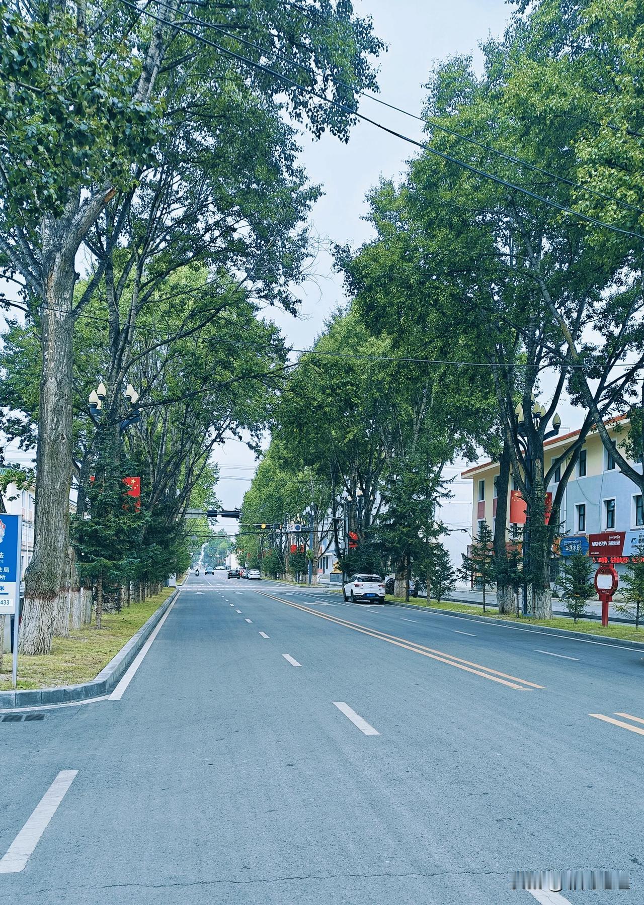 青海日记——第四天，晴

今天在海晏逛了逛，所谓河清海晏，我们在州驻地，据说这里