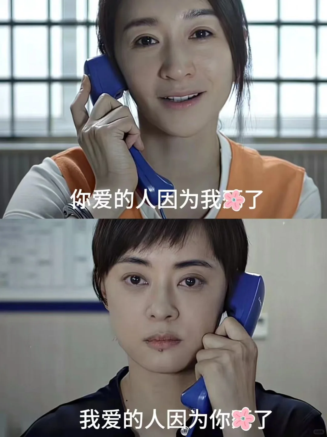 大结局，姐姐终于坦白了