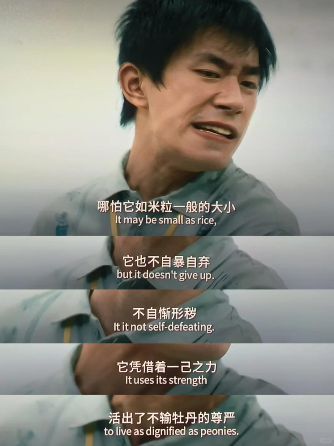 易烊千玺刘春和的长尾力量易烊千玺刘春和带来的长尾力量 一个角色的价值不在于上映期
