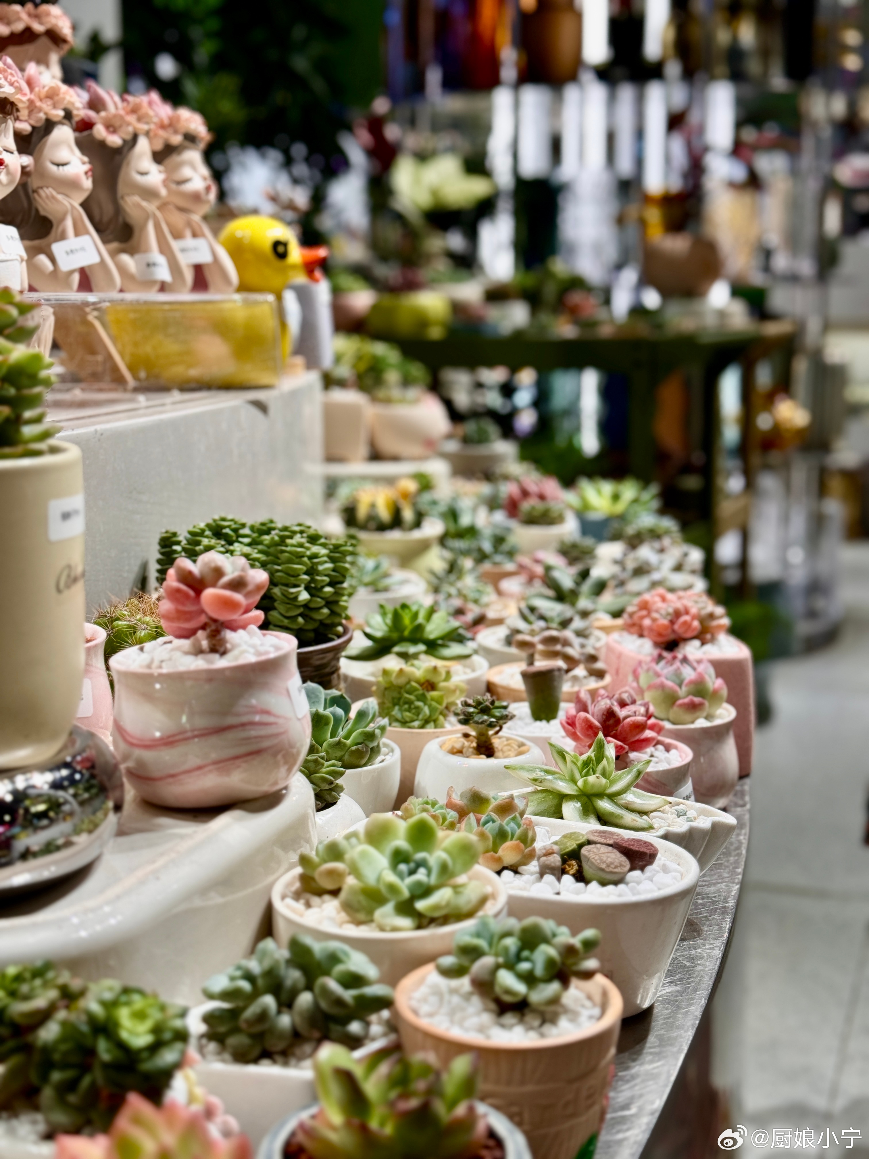 每年一到3月下旬，🍃春天的气息就特别浓郁了，连空气都是清新的就好喜欢出去找个有