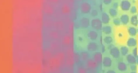 斯坦福研发新型柔性材料，让机器人成为拟态大师