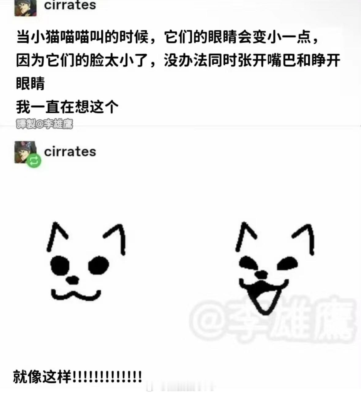 嗯嗯嗯#二次元cos大赏##黑猫猫[超话]# ​​​