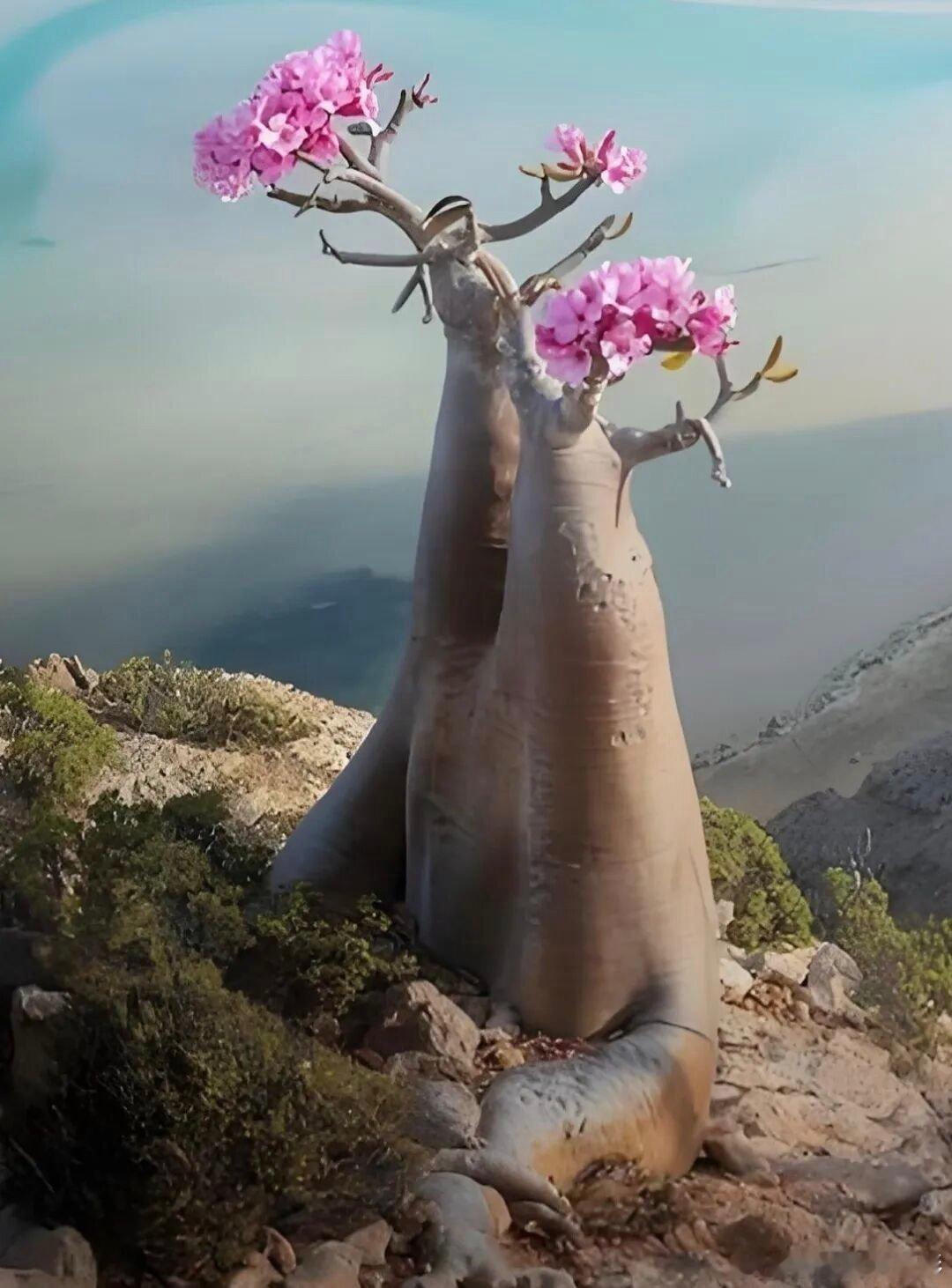 随手拍早安 