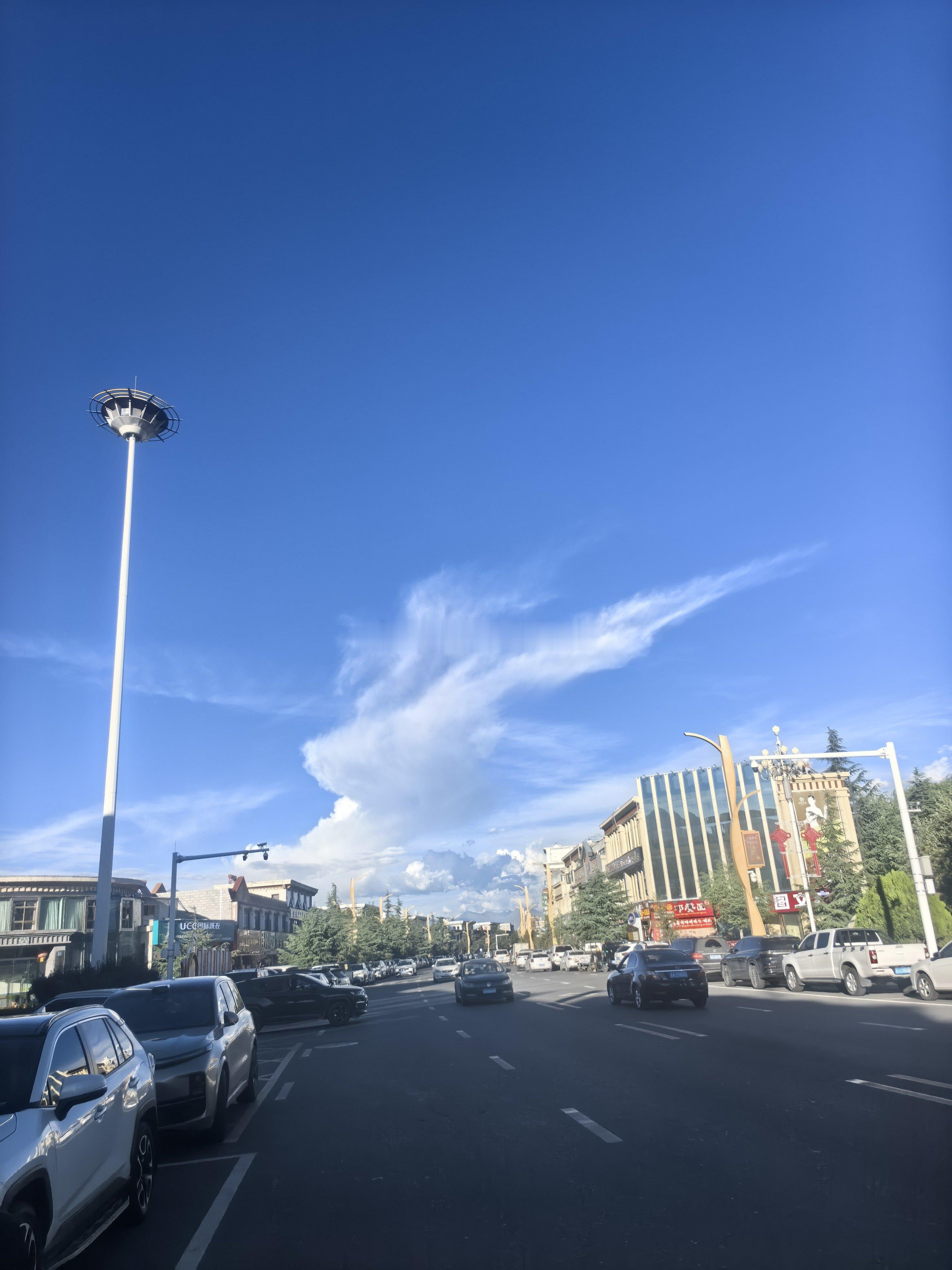 分享图片 