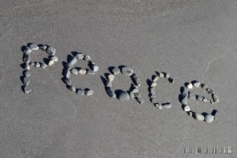 人生大起大落就像坐过山车，刺激得很。我觉得得用平和心态应对，别成功了就飘，失败了