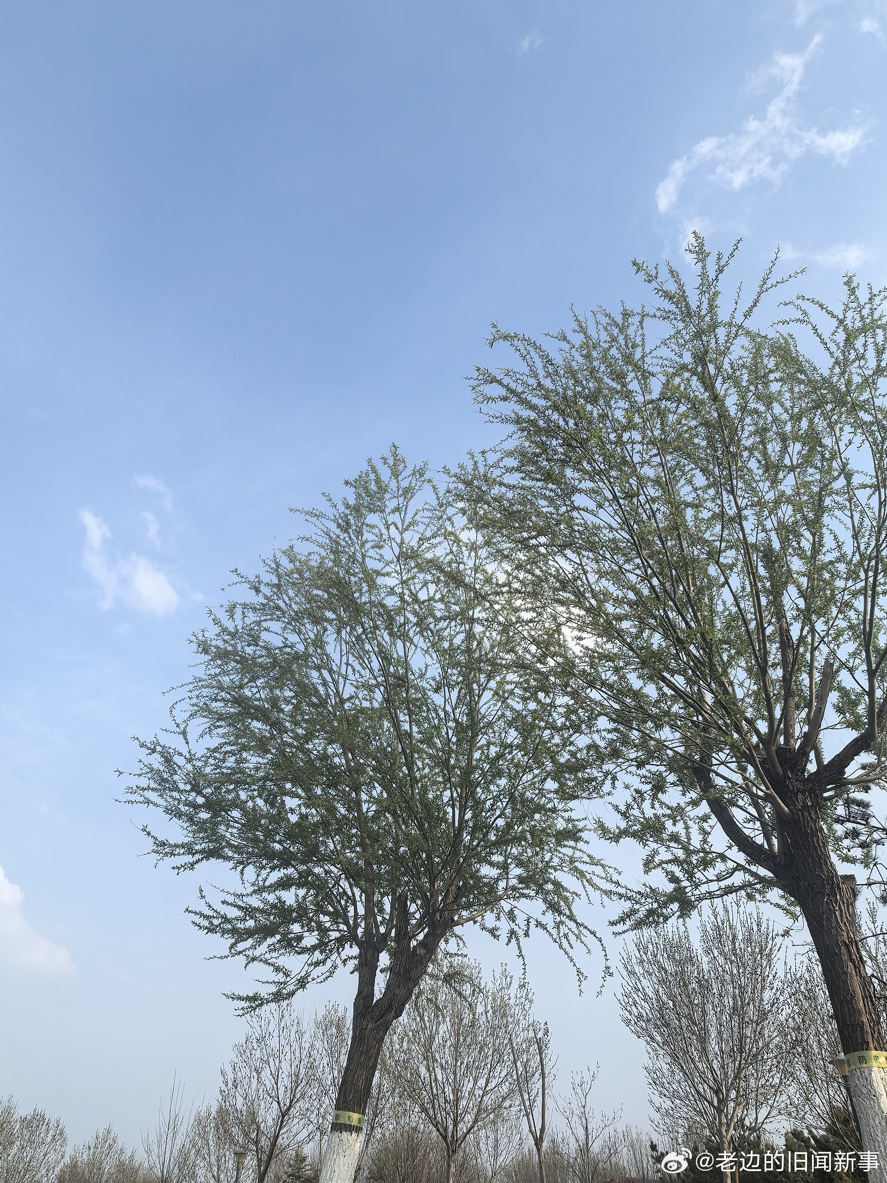 读书 库切｜迈克尔.K的人生与时代接着他又想：我不是要在水库边造栋房子世代相传，