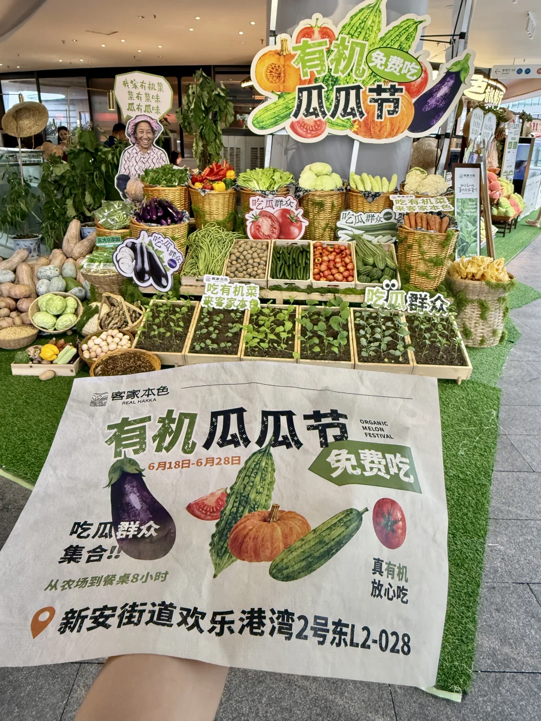深圳人自己的食堂！客家本色太会了😋