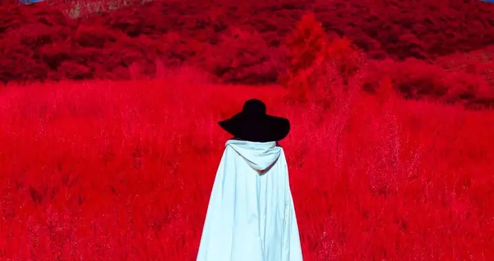 海外华人团队打造，统一理解与生成的图像模型，超越Nano banana