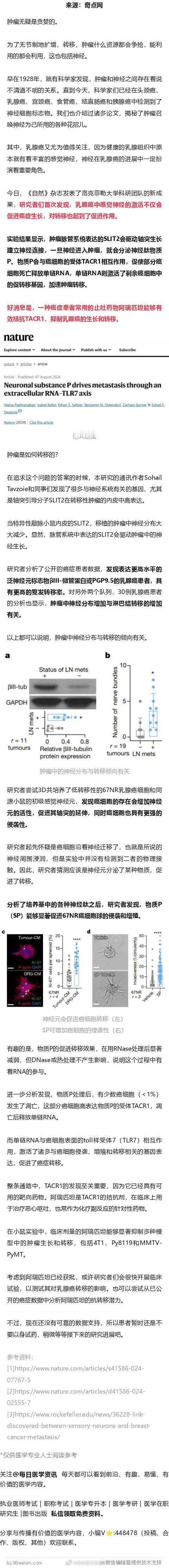 《自然》：科学家首次发现，感觉神经可促进乳腺癌转移，常用止吐药物或成对策 ​​​