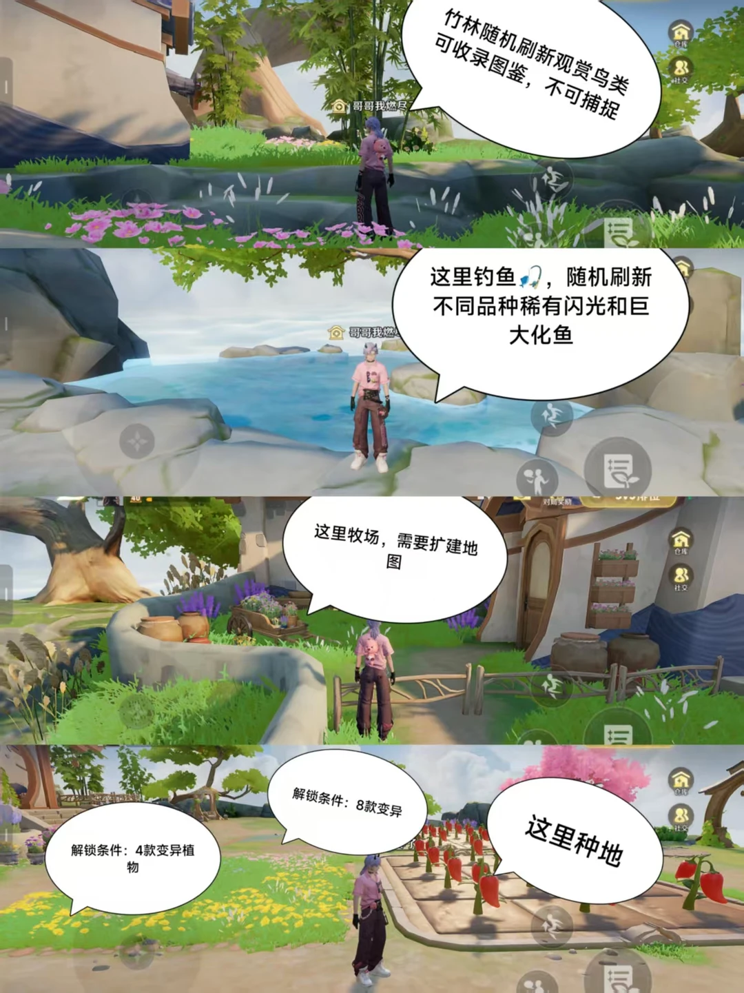 关于王者农场的建议
