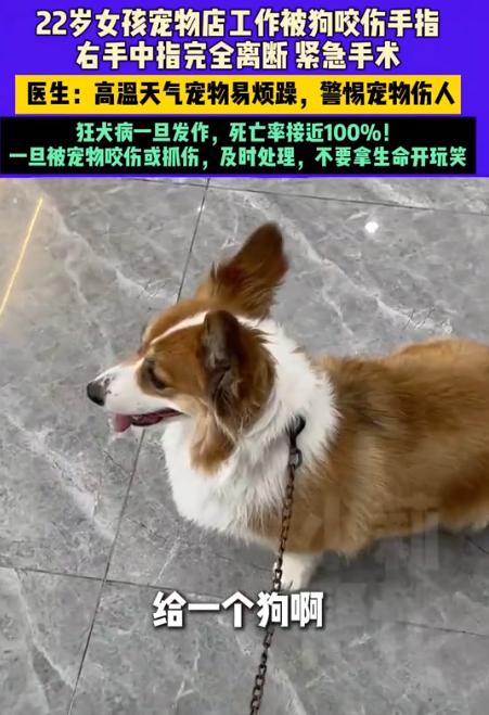 “太吓人了！”河南郑州，一22岁女子在宠物店给柯基洗澡时，没曾想，它竟然突然朝着