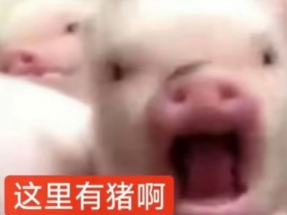 分享图片 