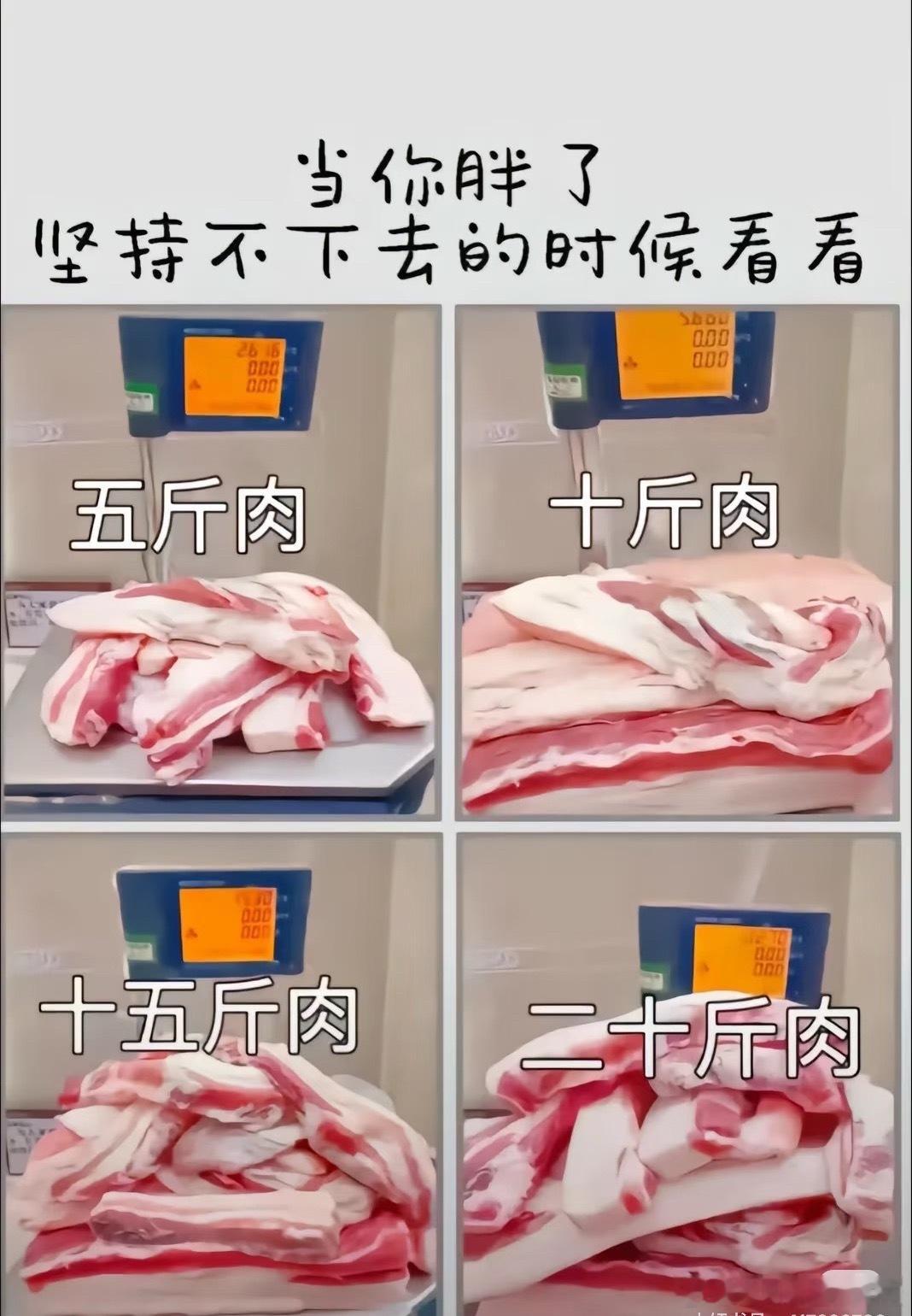 这几年真的是全员减重。到处都是肥肉换瘦肉。有时不知不觉胖了5斤，猪肉看起来那么多