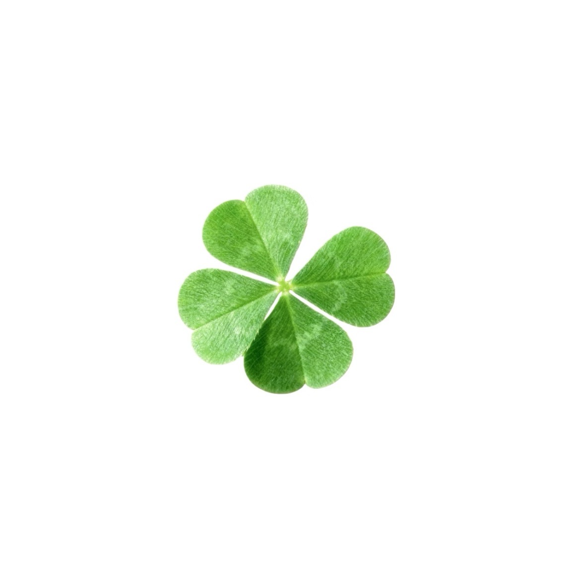 🍀 