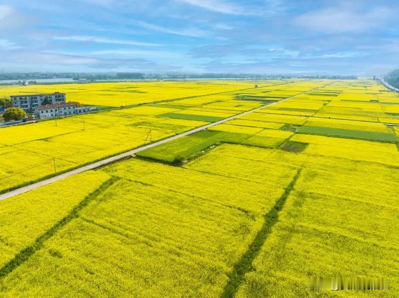 看到“春播千亩田”这个上联，我这脑子就开始飞速运转想下联啦。上联描绘了春天播种的