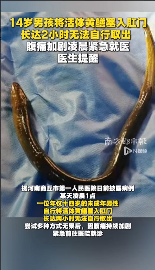 “怎么下得去手！”5月25日，河南商丘这则新闻让全网头皮发麻。一个14岁男孩凌晨