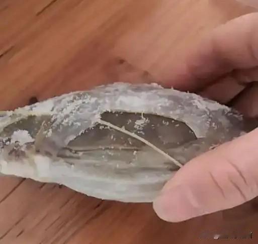 做生意的老板懂的，越是什么都不懂的客户越犟。
死犟死犟的，一点也听不进去建议。