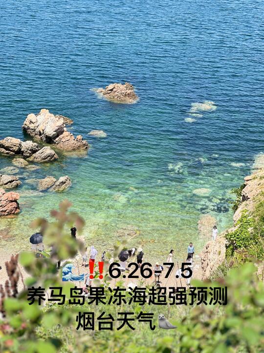 📍6.26-7.5号烟台养马岛果冻海超强预测