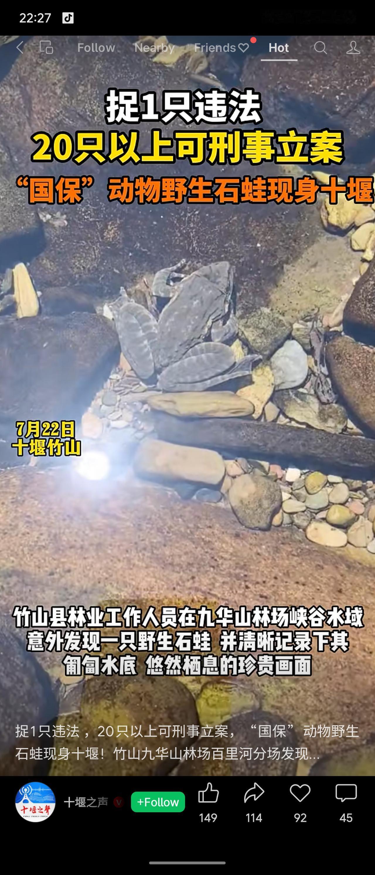 十堰竹山九华山林场近日发现野生石蛙（国家二级保护动物），其现身印证当地水质优良。