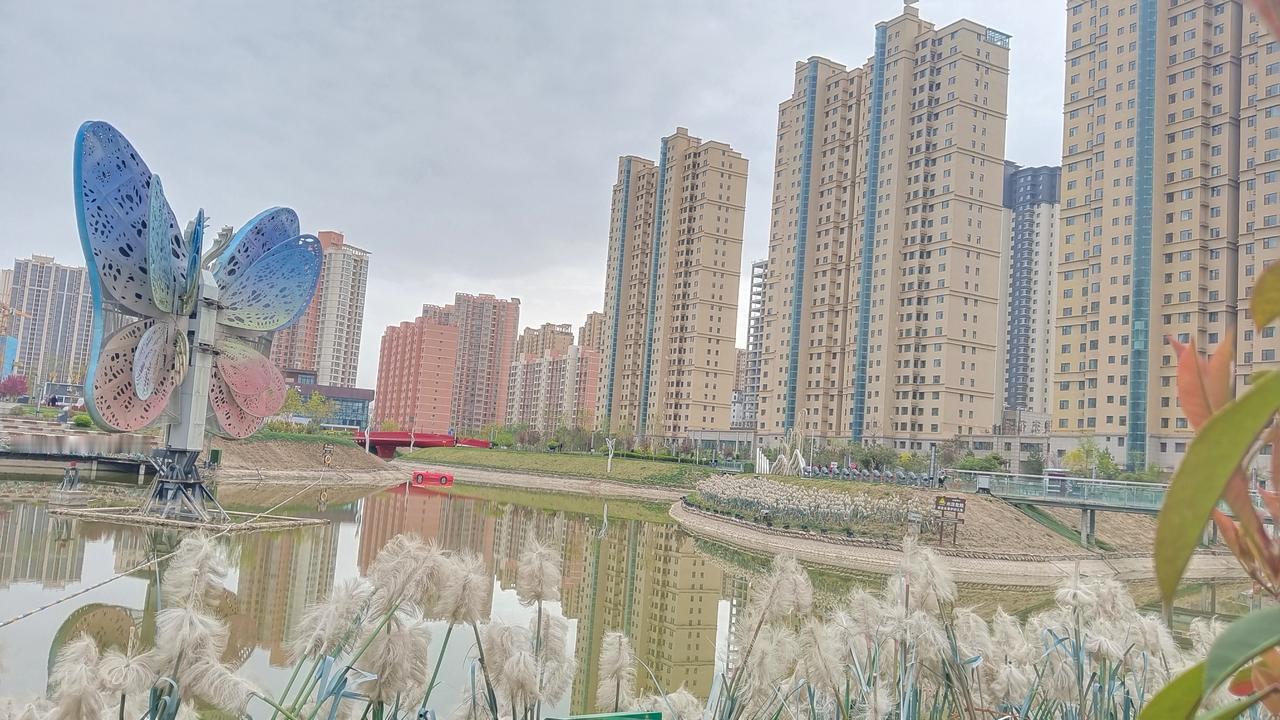 城市中的蝴蝶雕塑，现代与自然的完美融合。