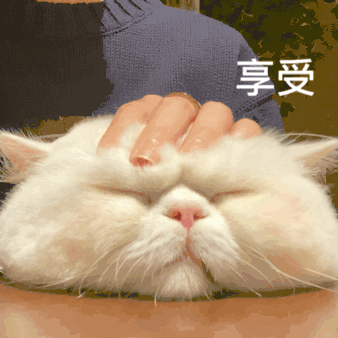 并不是每件事情都要有意义，轻松一点过日子。#晚安# ​​​
