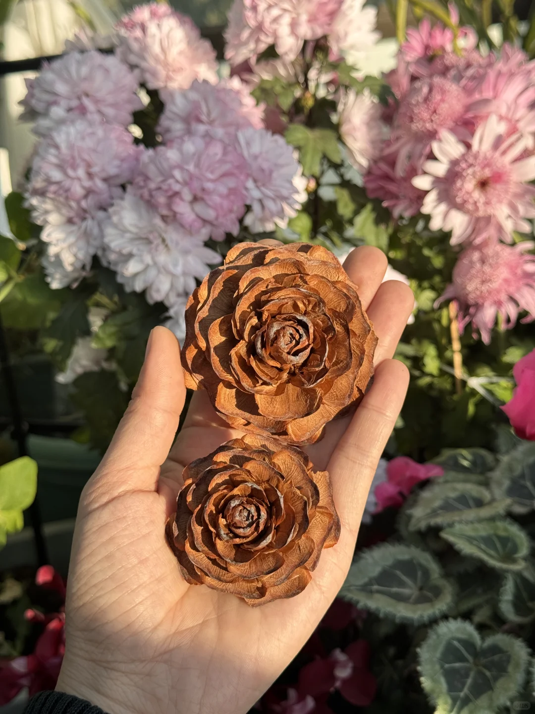 大自然冬日的浪漫