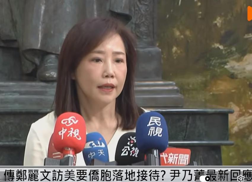 被传国民党主席郑丽文赴美参访要侨胞落地招待，文传会主委尹乃菁最新回应：在与侨领沟