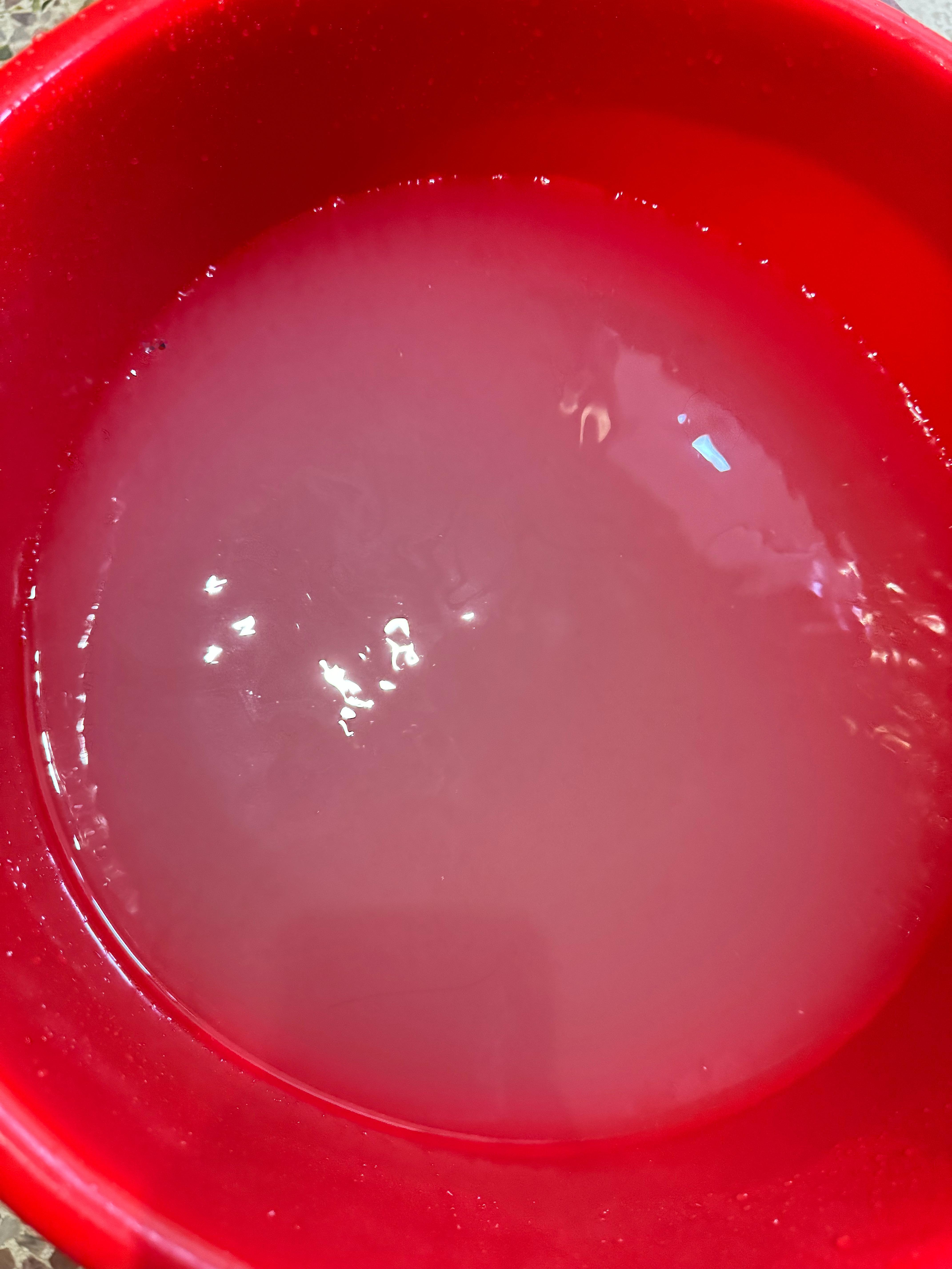 绝了，你们看得出这水很浑浊吗？一到下雨天我宿舍的自来水就这样，我都不想洗澡了，感