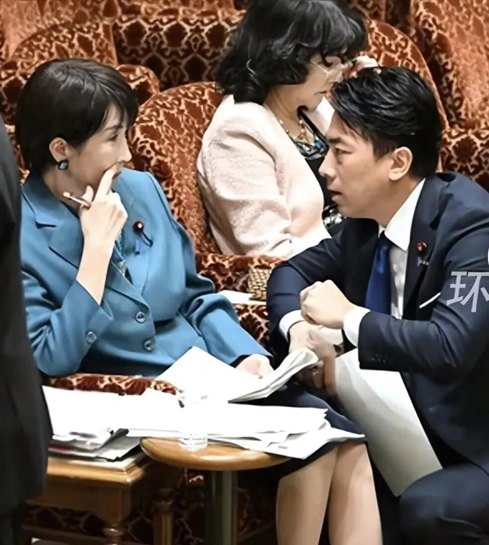 像妈宝男！日本防卫相小泉进次郎企图替高市早苗回答质询，为其帮腔和开脱，遭野党议员