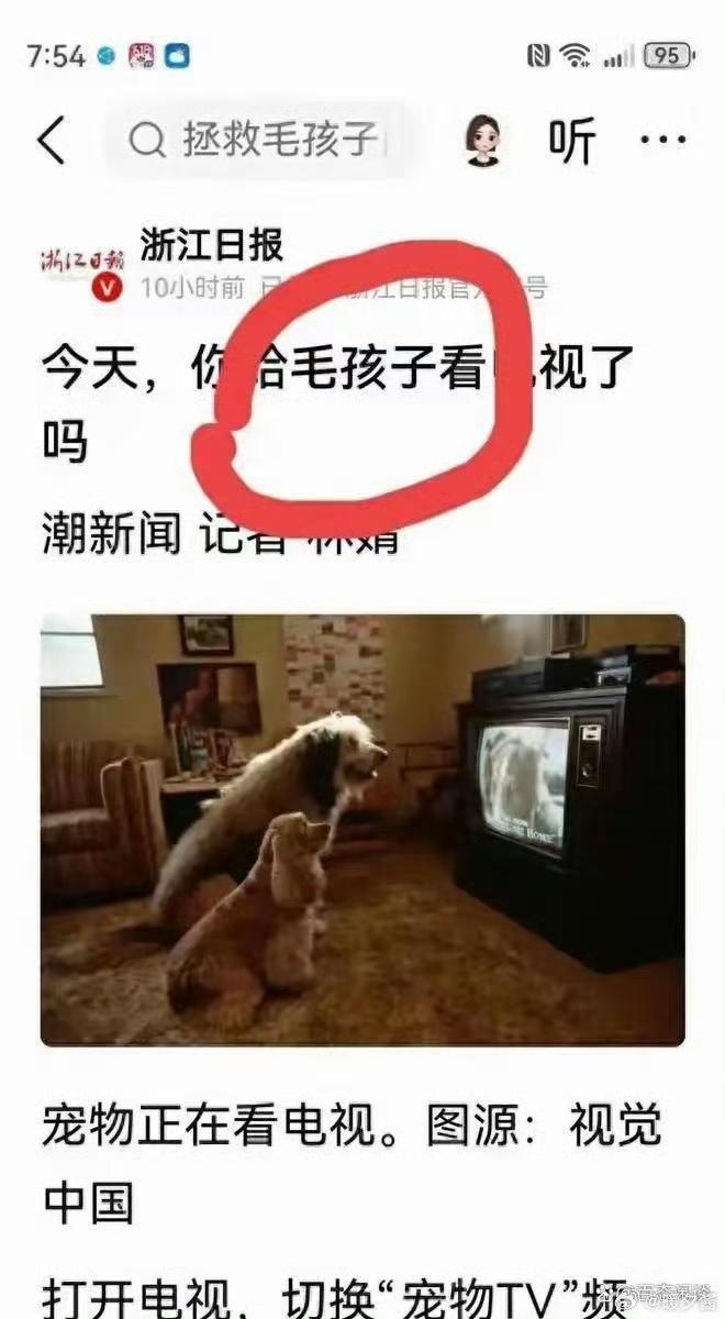 什么叫毛孩子？狗就是狗，孩子就是孩子，搞个毛孩子，啥意思？

官媒不要瞎掺合动保