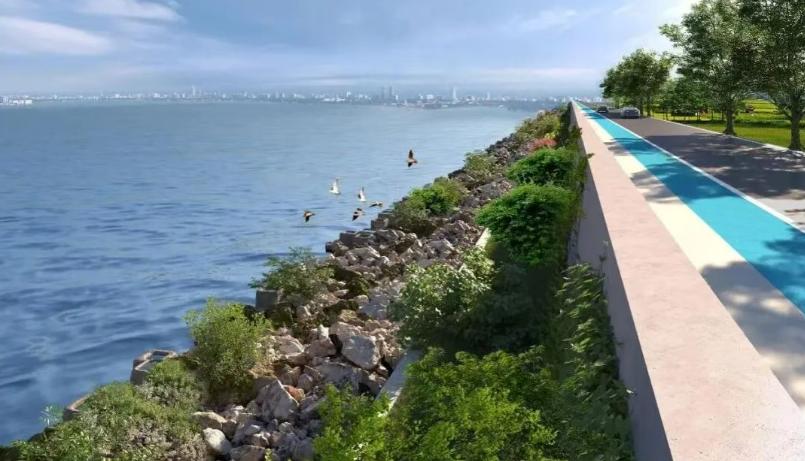 南沙区发改局发布了关于2026年度广州市海洋生态修复项目可行性研究报告的批复。