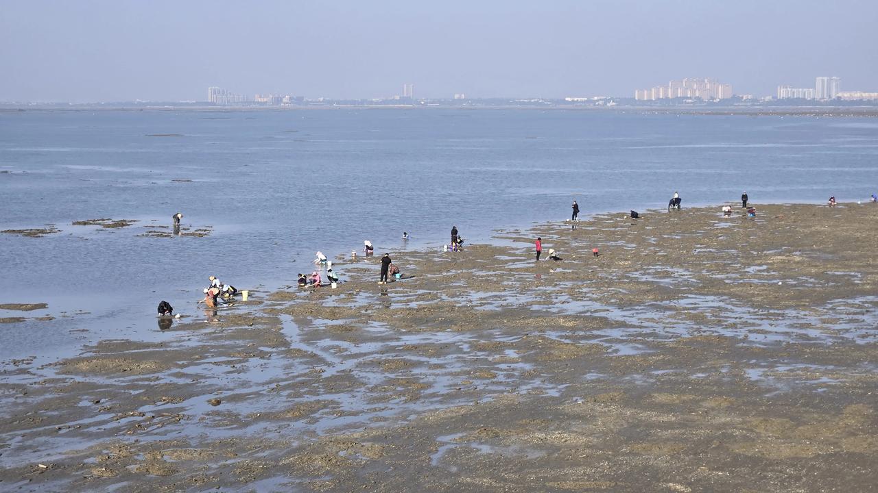 今天的北海，温度回升，阳光明媚，金滩赶海的人不少