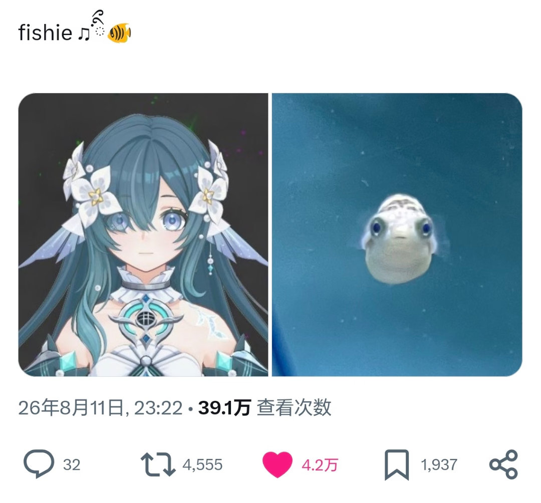 哦哦哦好萌，， 
