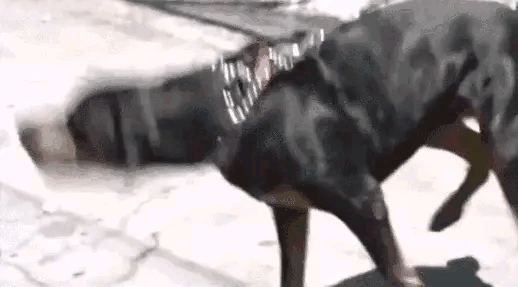 让日本去军事化有点困难，但去现代化应该行。就日本的个性，你就是给让他留下一个人，