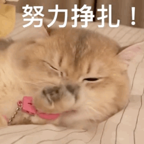 体检报告出现这些词要当心 血压偏高是高血压的早期表现，长期不加以控制可能引发心脏