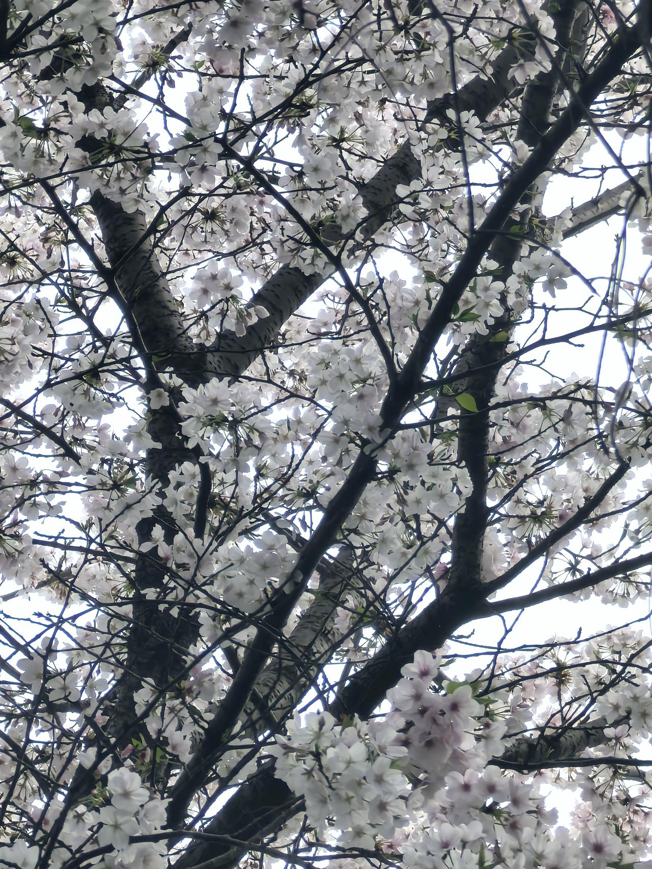 打死我都不愿相信的一个事实，一个很扎心的真相，我儿子的朋友圈，是屏蔽了我的！只有