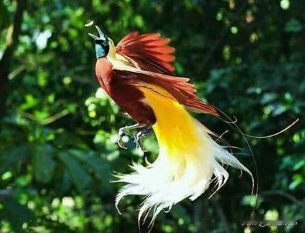 放下强求，专注自己，想要的都会来
 
人这一辈子，别总急着向外求，越强求，越心累