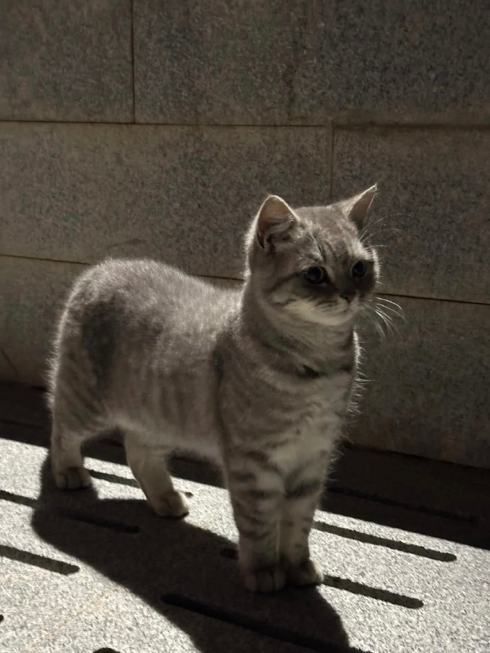 宝宝你是一匹小马