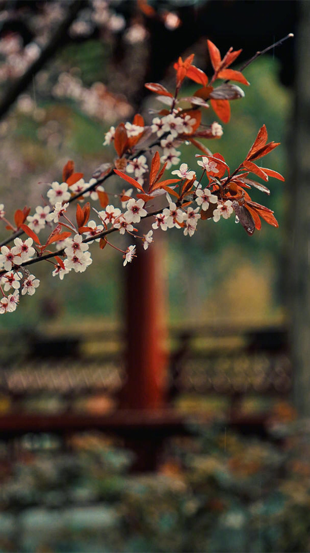 钱的背后是事，把事做到极致，钱自来。 事的背后是人，把人做好，事自然成。 人的背