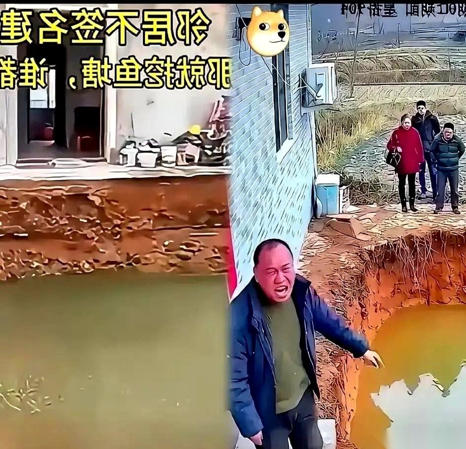 真的，千万别把老实人逼急了。
你永远不知道他的脑回路有多清奇。
邻居天天举着个手