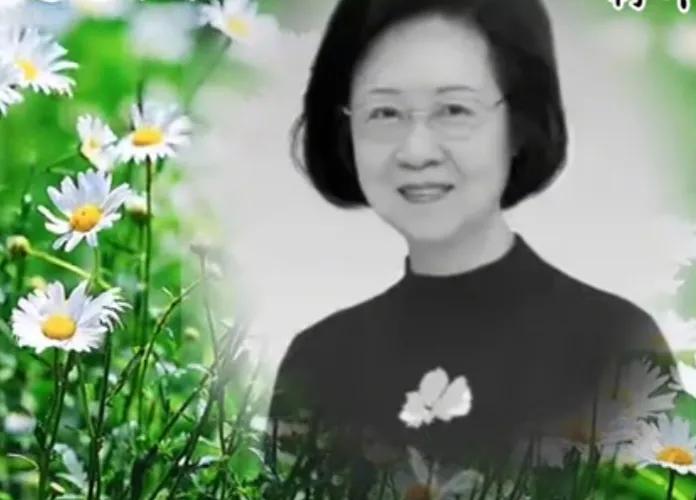 这个世界太不公平了！明明是平鑫涛先追求的琼瑶，可琼瑶却为他背负了一生的骂名。我只